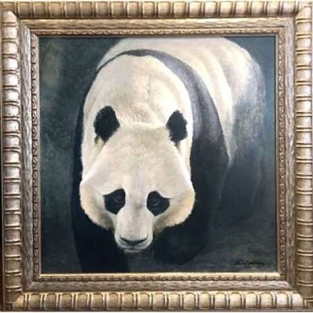 Panda Portrait framed print from artist Robert Bateman