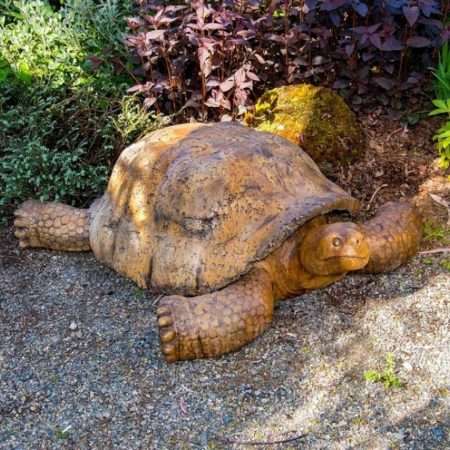 Giant Galapagos Tortoise - Cast Art Studios garden sculpture