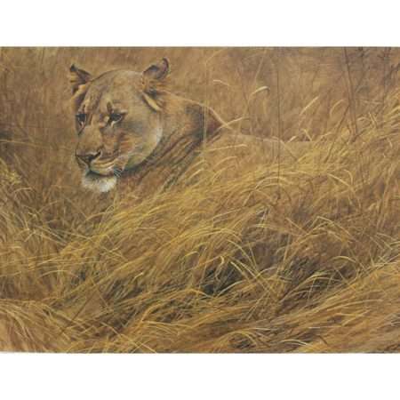 Robert Bateman In The Grass Lioness unframed paper print