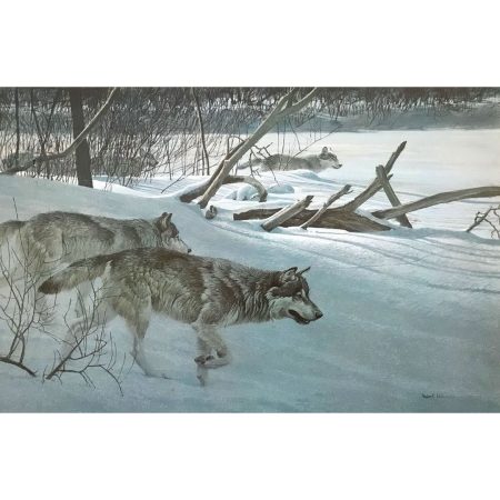 Robert Bateman Wolfpack In Moonlight unframed lithograph print limited edition