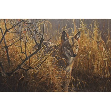 Red Wolf unframed Robert Bateman lithograph print