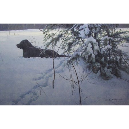 Off The Leash Unframed Paper Print