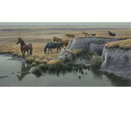Mustang Country Canvas (Art Print)