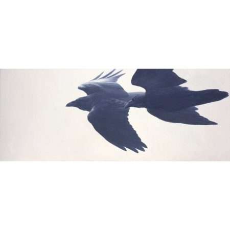 Reconciliation - Ravens (Limited Edition)