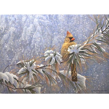 Winter Lady Cardinal (unframed print)
