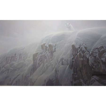 Arctic Cliff White Wolves (Limited Edition Canvas)