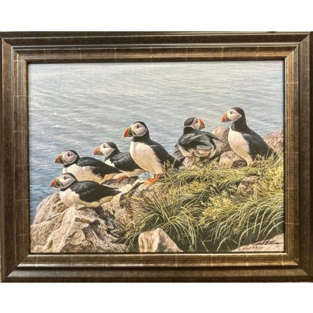 Bright Day - Atlantic Puffins (Robert Bateman)