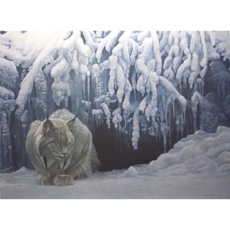 Dozing Lynx (canvas print)