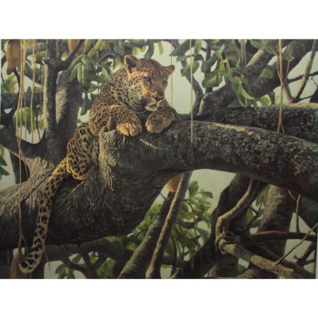 Leopard in a Sausage Tree (canvas print)
