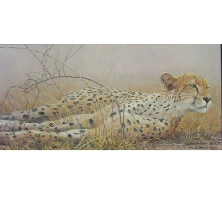 Londolosi Cheetah (art print)