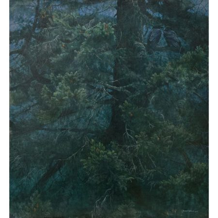 Ravens Roost (canvas print)
