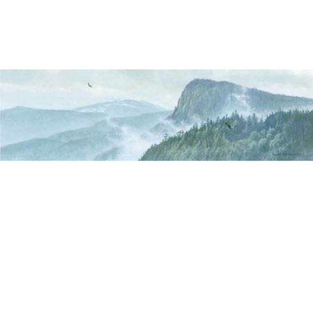 Thinking Like a Mountain (unframed canvas)