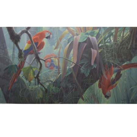 Tropical Canopy - Scarlet Macaws (print)