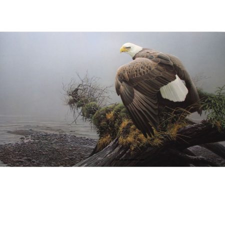 Vantage Point (Robert Bateman) Unframed