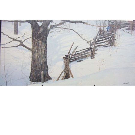 Window Into Ontario (Robert Bateman)