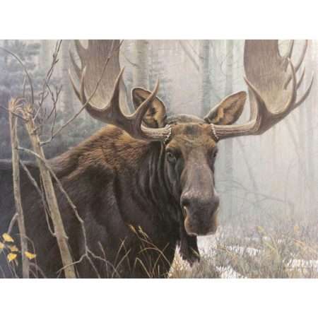Bull Moose - Robert Bateman