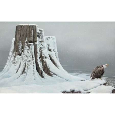 Heritage-Bald Eagle (Robert Bateman)