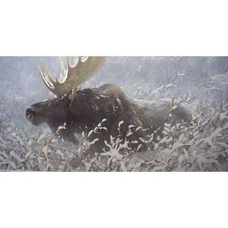 Winter Run-Bull Moose (Robert Bateman)