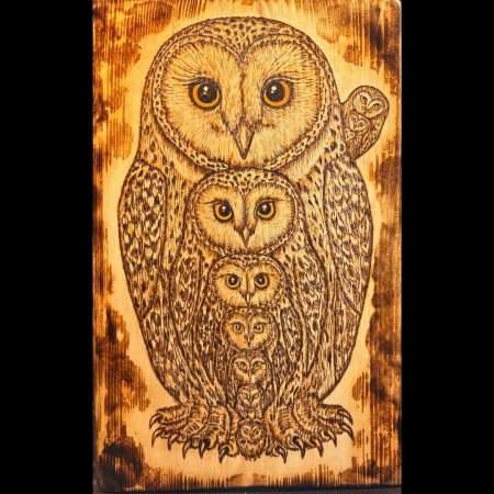 Family of Owls Burnt Wood Art